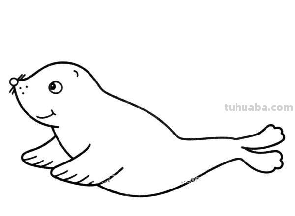 海豹怎么画 海豹怎么画简单又可爱