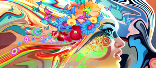 唯美色彩：用色彩挥洒灵魂的魔法 