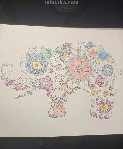 大象怎么画 彩铅色 大象儿童画教程?