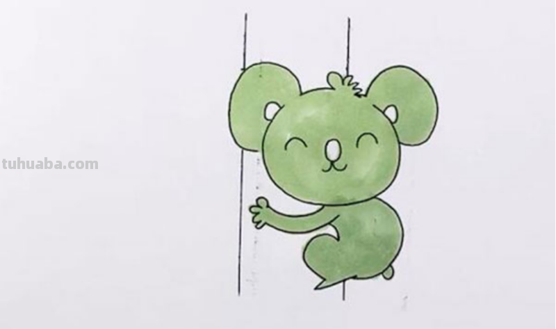 考拉怎么画 考拉怎么画