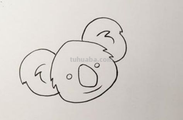 考拉怎么画 考拉怎么画