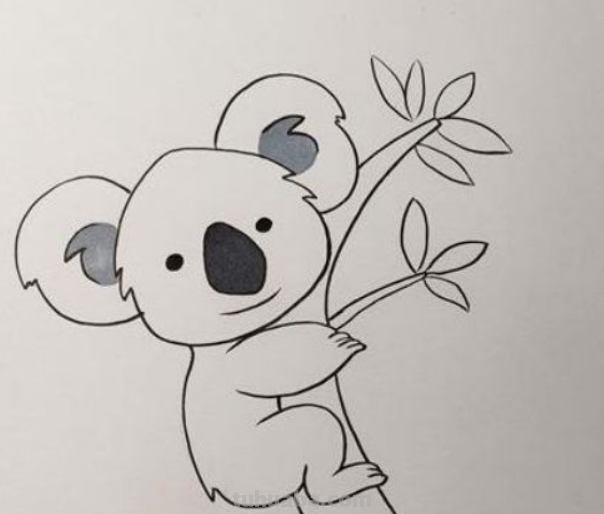 考拉怎么画 考拉怎么画