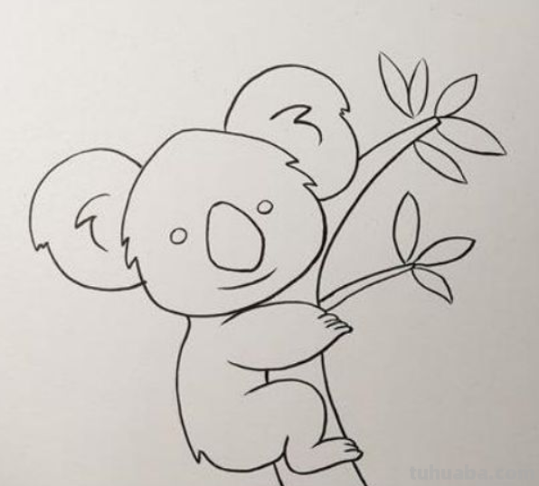 考拉怎么画 考拉怎么画