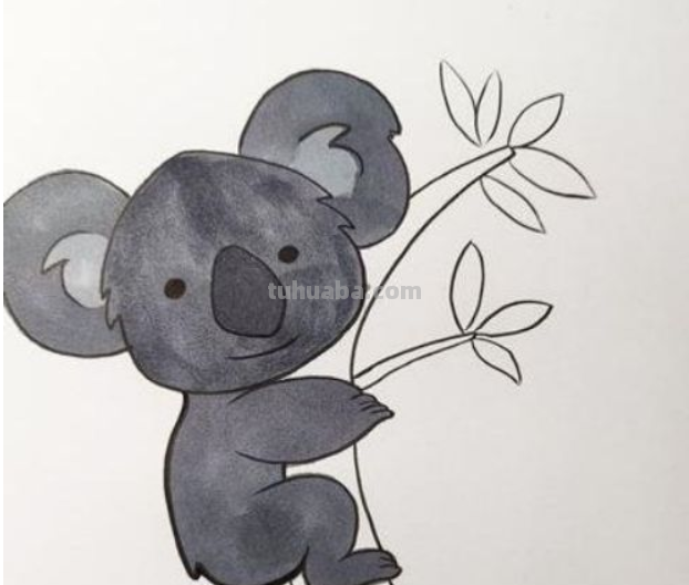 考拉怎么画 考拉怎么画