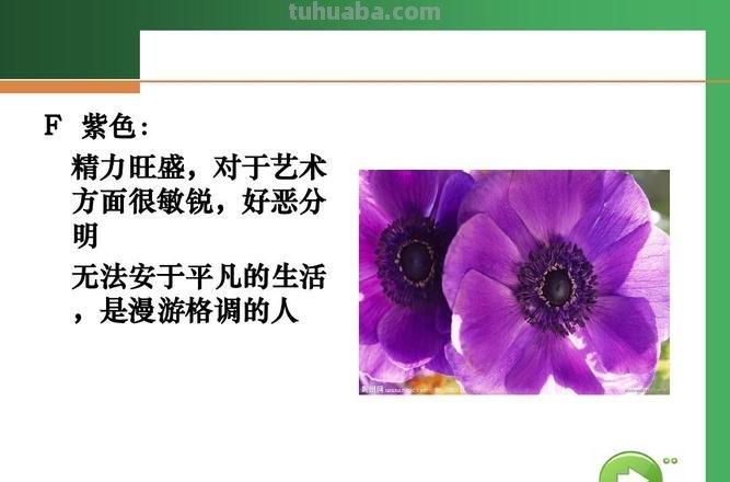 对色彩敏感及对色彩敏锐的人是如何看待世界的？ 