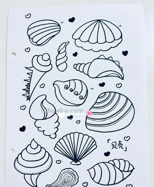 贝壳简笔画 贝壳简笔画图片大全