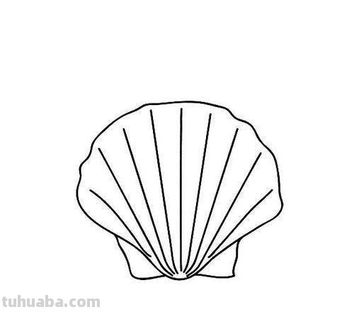 贝壳简笔画 贝壳简笔画图片大全
