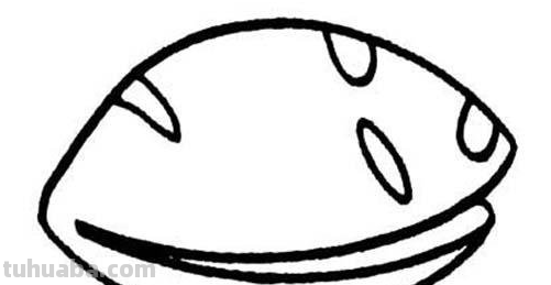 如何画贝壳简笔画图片 如何画贝壳简笔画图片