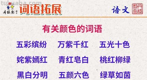 色彩缤纷的近义词及解析 