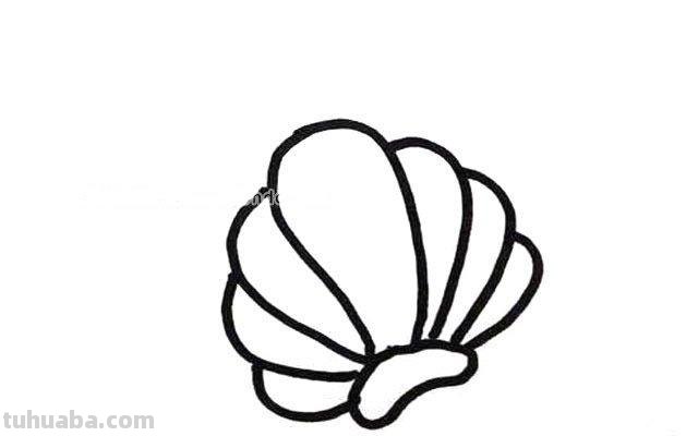 贝壳怎么画 贝壳怎么画简单又漂亮