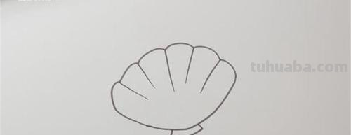贝壳怎么画 贝壳怎么画简单又漂亮