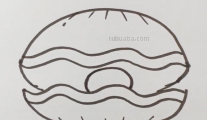 贝壳怎么画