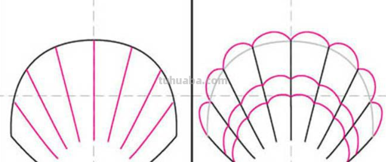 贝壳怎么画简笔画图片