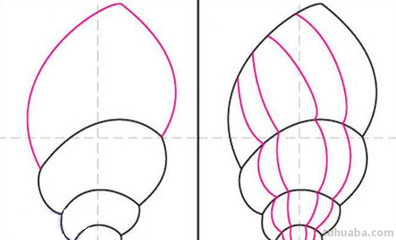 贝壳怎么画简笔画图片
