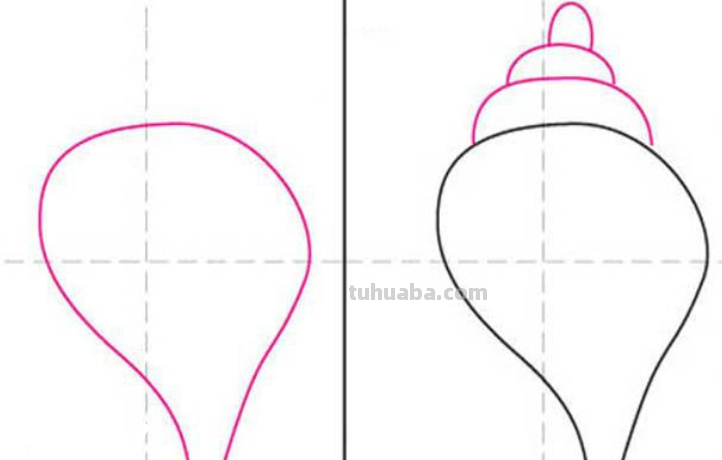 贝壳怎么画简笔画图片