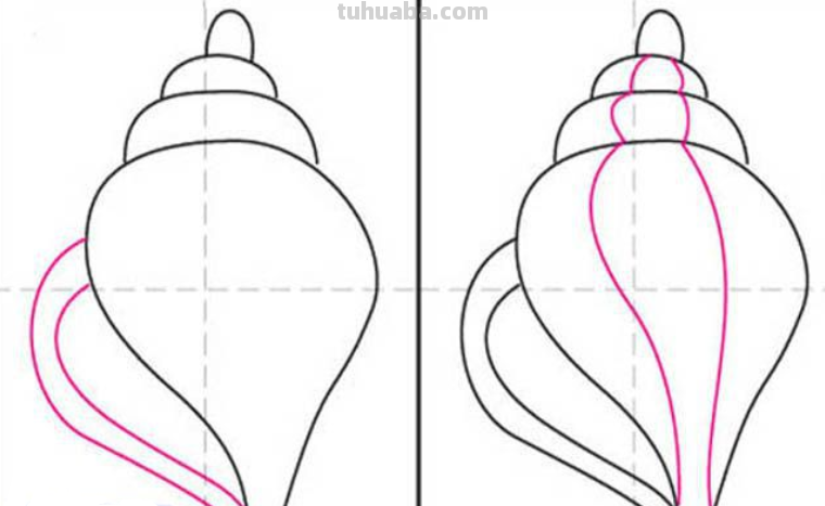 贝壳怎么画简笔画图片
