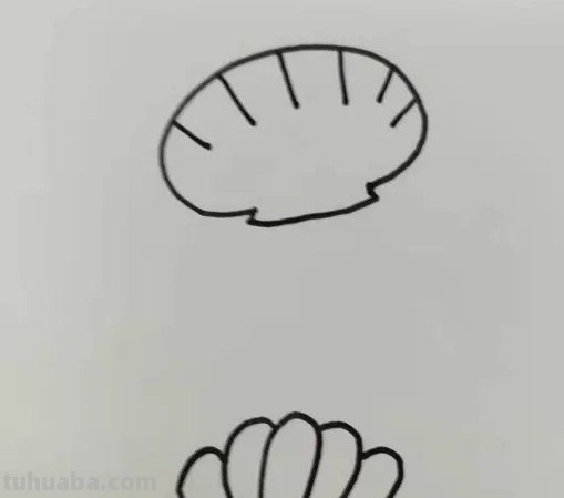 贝壳怎么画
