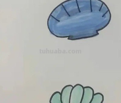 贝壳怎么画