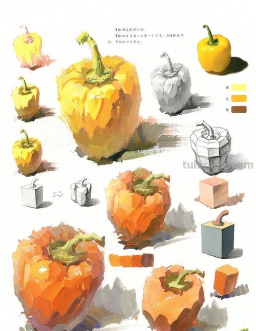 色彩青椒及色彩青椒的画法调色 