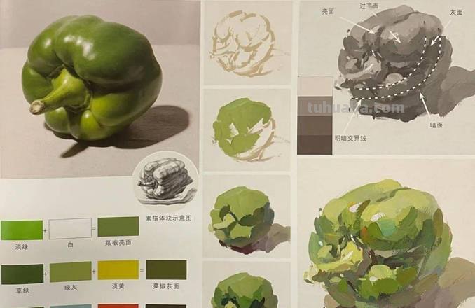 色彩青椒及色彩青椒的画法调色 
