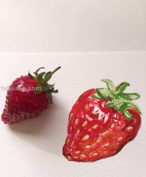 草莓色彩及草莓色彩画——揭秘草莓色彩的魅力与绘画技巧 