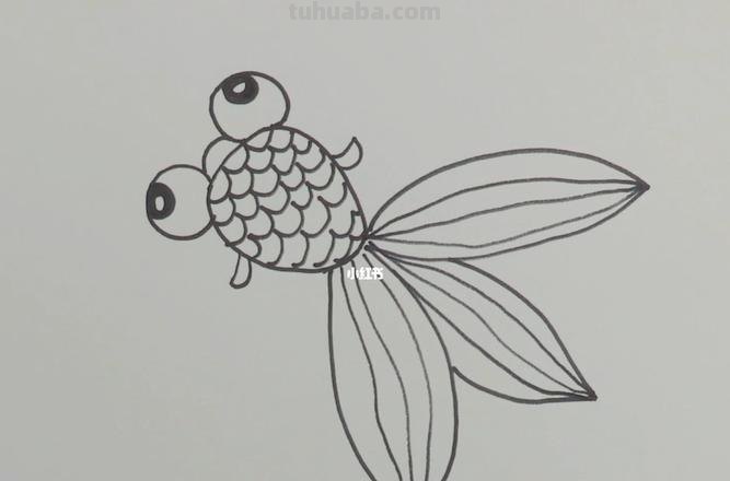 金鱼简笔画 金鱼简笔画 儿童画