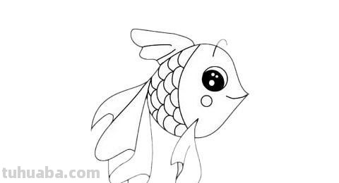 金鱼简笔画 金鱼简笔画 儿童画