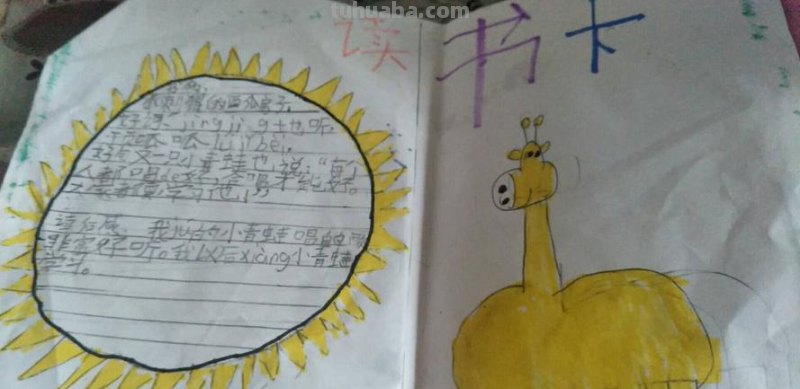 读书卡片的阅读内容怎么写 读书卡内容怎么写？