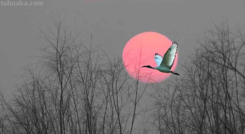 简单实用摄影技巧4个,不再羡慕别人照片好看,学了你也能拍大片