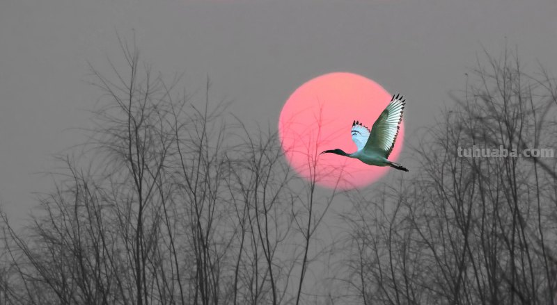 简单实用摄影技巧4个,不再羡慕别人照片好看,学了你也能拍大片 简单实用摄影技巧4个,不再羡慕别人照片好看,学了你也能拍大片