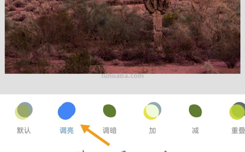 简单实用摄影技巧4个,不再羡慕别人照片好看,学了你也能拍大片 简单实用摄影技巧4个,不再羡慕别人照片好看,学了你也能拍大片