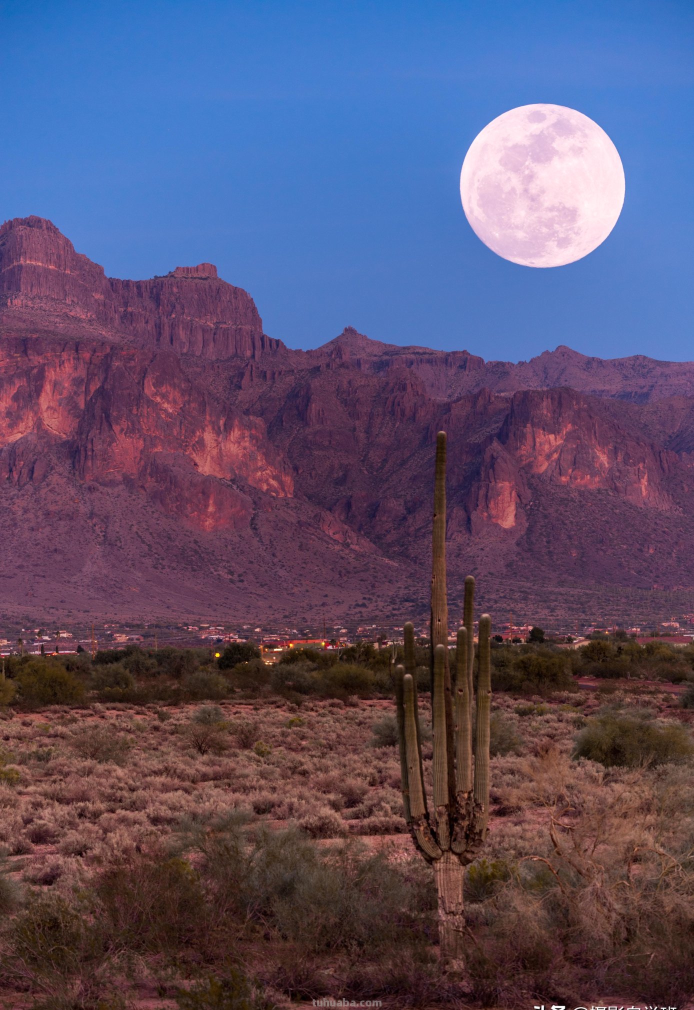 简单实用摄影技巧4个,不再羡慕别人照片好看,学了你也能拍大片 简单实用摄影技巧4个,不再羡慕别人照片好看,学了你也能拍大片