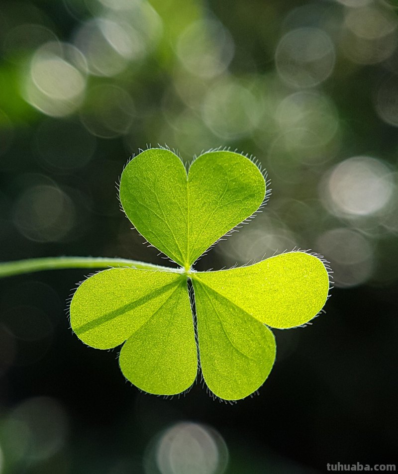 简单实用摄影技巧4个,不再羡慕别人照片好看,学了你也能拍大片 简单实用摄影技巧4个,不再羡慕别人照片好看,学了你也能拍大片