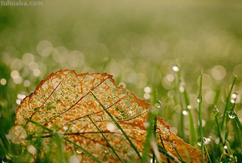 简单实用摄影技巧4个,不再羡慕别人照片好看,学了你也能拍大片 简单实用摄影技巧4个,不再羡慕别人照片好看,学了你也能拍大片