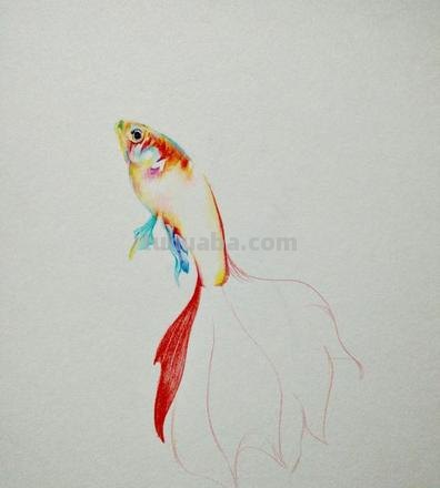 彩铅手绘小鱼怎么画 一秒学会画小鱼？