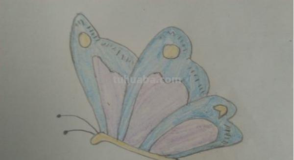 怎么用彩铅画蝴蝶 用彩铅把蝴蝶上色什么颜色搭配最好? 怎么用彩铅画蝴蝶 用彩铅把蝴蝶上色什么颜色搭配最好?