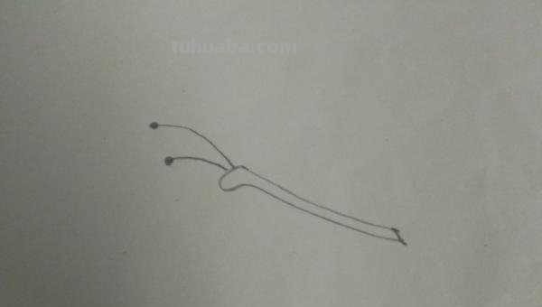 怎么用彩铅画蝴蝶 用彩铅把蝴蝶上色什么颜色搭配最好? 怎么用彩铅画蝴蝶 用彩铅把蝴蝶上色什么颜色搭配最好?