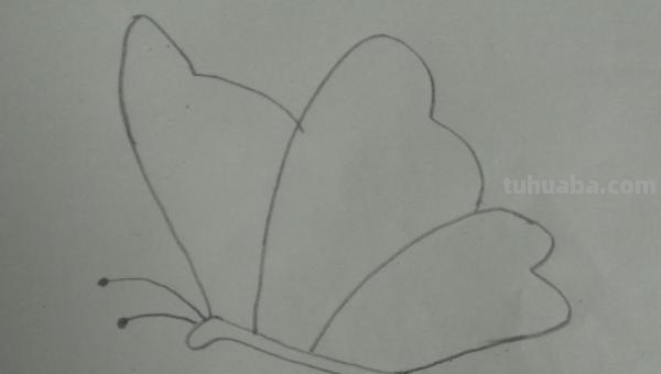 怎么用彩铅画蝴蝶 用彩铅把蝴蝶上色什么颜色搭配最好? 怎么用彩铅画蝴蝶 用彩铅把蝴蝶上色什么颜色搭配最好?