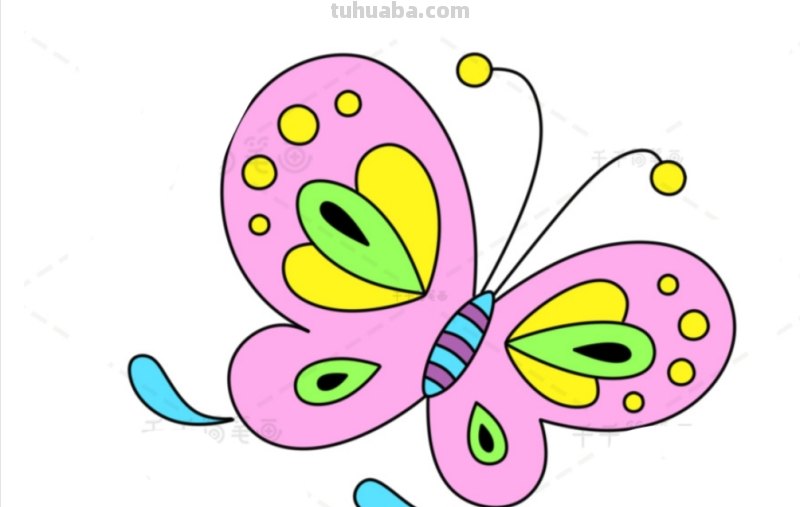 怎么用彩铅画蝴蝶 用彩铅把蝴蝶上色什么颜色搭配最好? 怎么用彩铅画蝴蝶 用彩铅把蝴蝶上色什么颜色搭配最好?