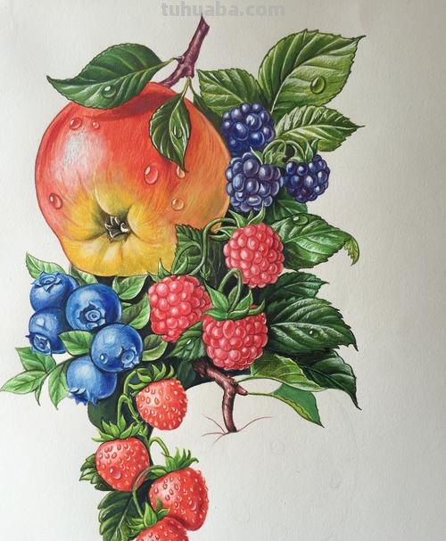 彩铅水果合集怎么画 水果蔬菜彩铅画教程？