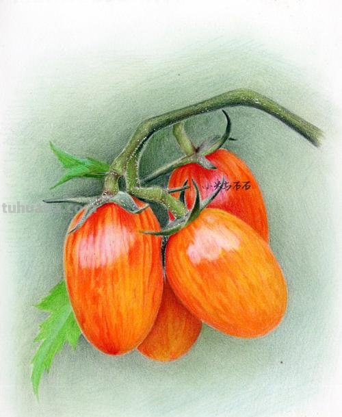 彩铅水果合集怎么画 水果蔬菜彩铅画教程？