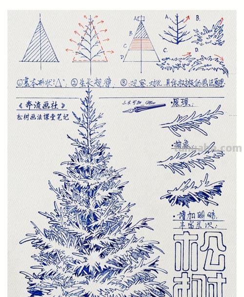 画技巧松树速写 怎样画松树详细？