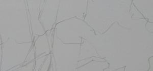 画技巧松树速写 怎样画松树详细? 画技巧松树速写 怎样画松树详细?