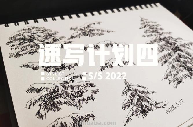 画技巧松树速写 怎样画松树详细?