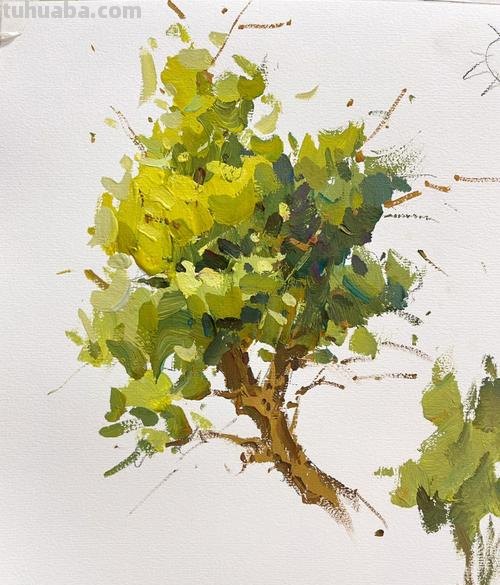 色彩写生树的绘画技巧及步骤分享 