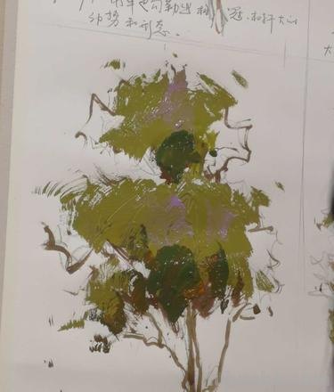 色彩写生树的绘画技巧及步骤分享 