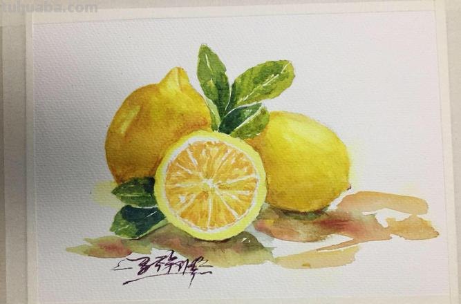 柠檬的色彩及柠檬的色彩画法 