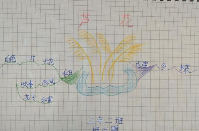 芦花怎么画思维导图 怎样画思维导图？