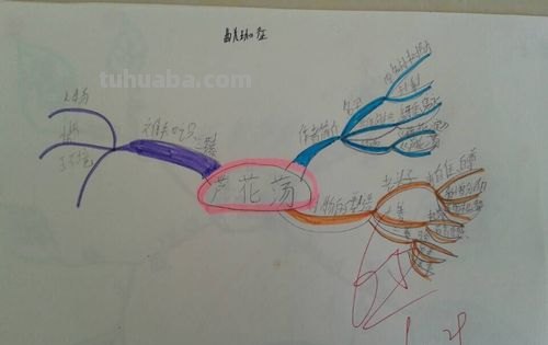 芦花怎么画思维导图 怎样画思维导图?