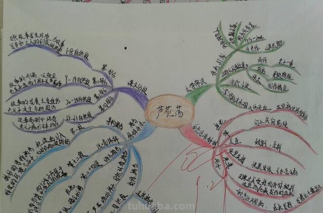 芦花怎么画思维导图 怎样画思维导图?